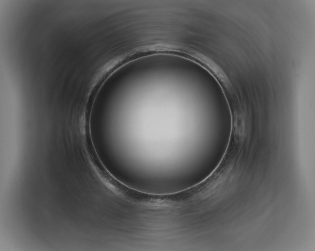 X0000112930437200908311320