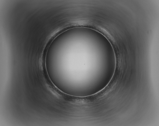 X0000112930439200908311321