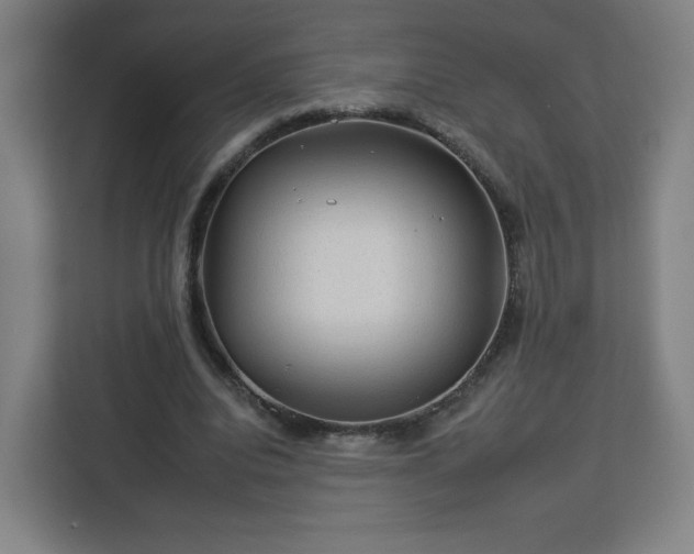 X0000112930440200908311321