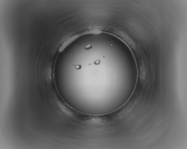 X0000112930441200908311321