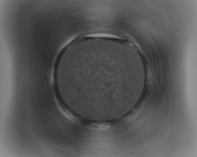 X0000112930443200908311321