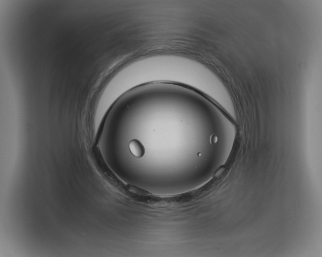 X0000112930444200908311321