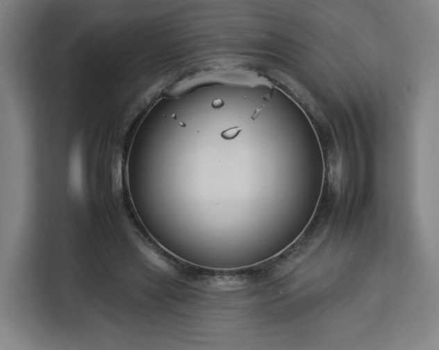 X0000112930445200908311321