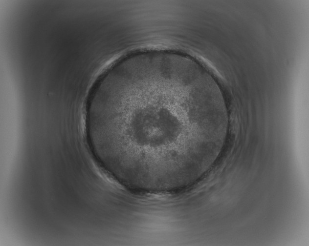 X0000112930446200908311321