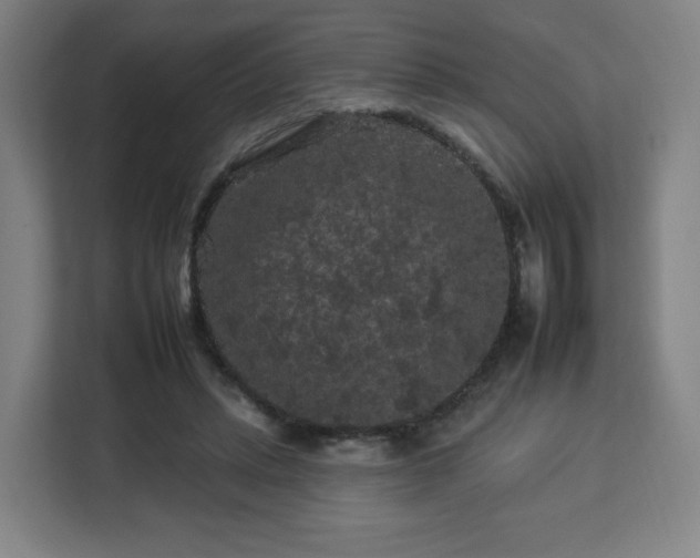 X0000112930447200908311321