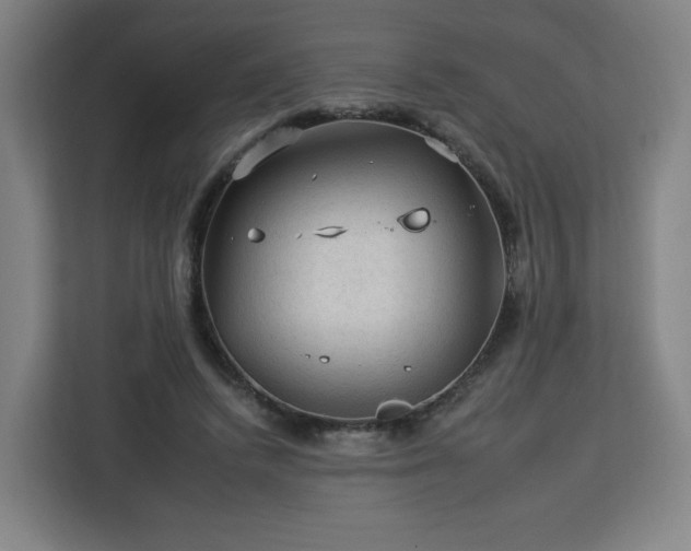 X0000112930448200908311321