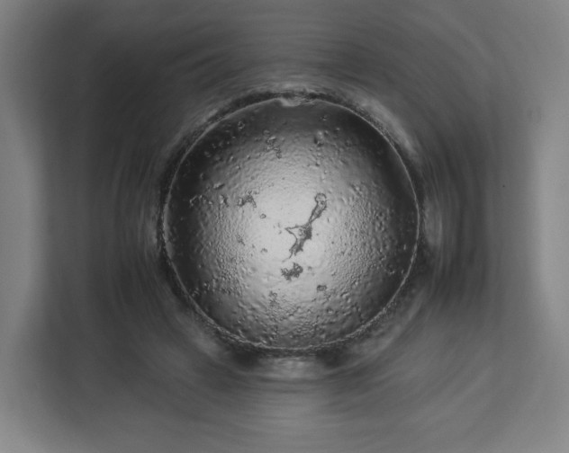 X0000112930449200908311321