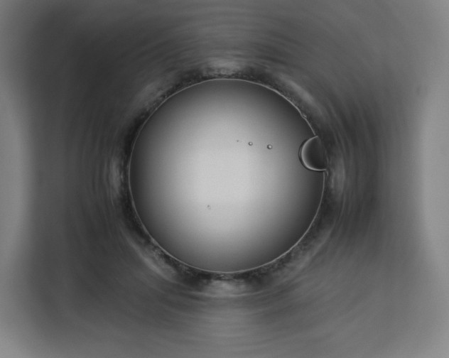 X0000112930455200908311321