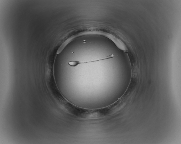 X0000112930456200908311321