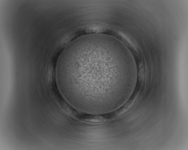 X0000112930459200908311321