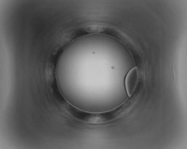 X0000112930460200908311321