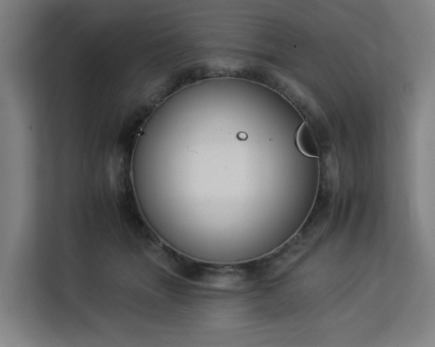 X0000112930463200908311321