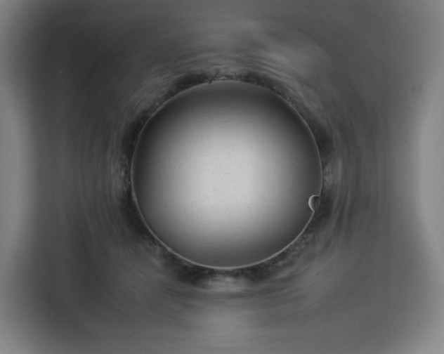 X0000112930464200908311321