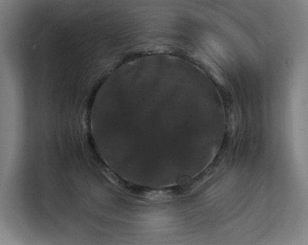 X0000112930465200908311321