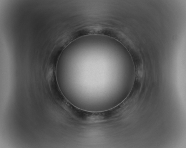 X0000112930468200908311321