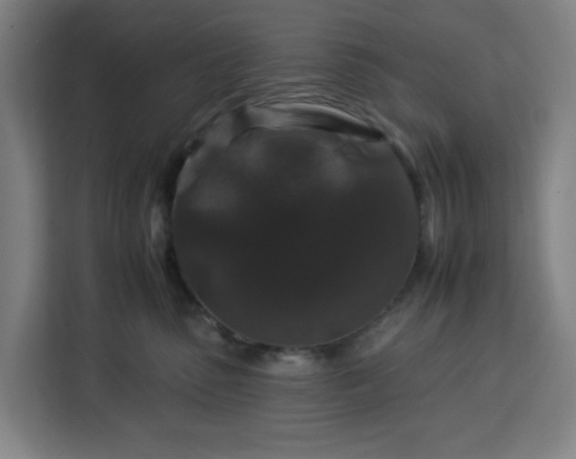 X0000112930475200908311321