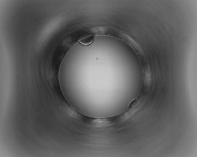 X0000112930477200908311321