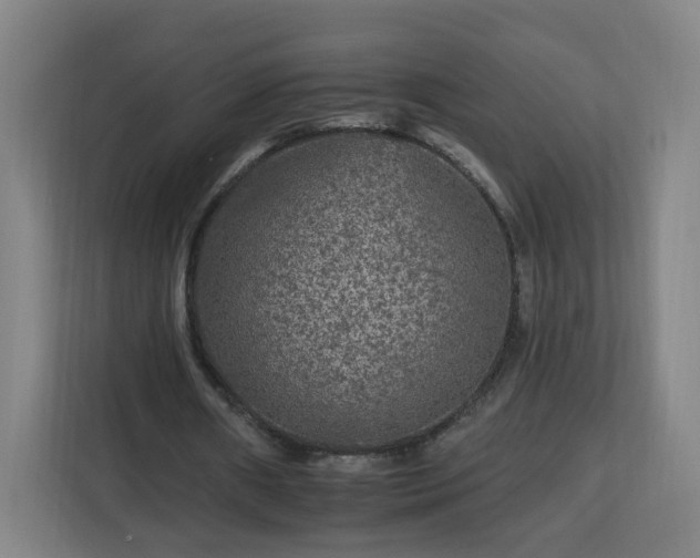 X0000112930482200908311320