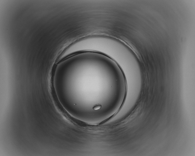 X0000112930485200908311320