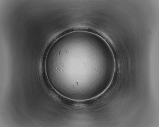 X0000112930487200908311320