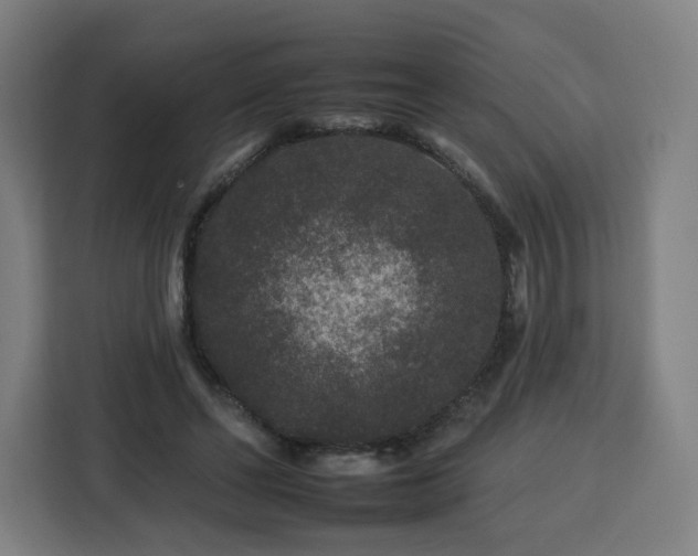 X0000112930494200908311320