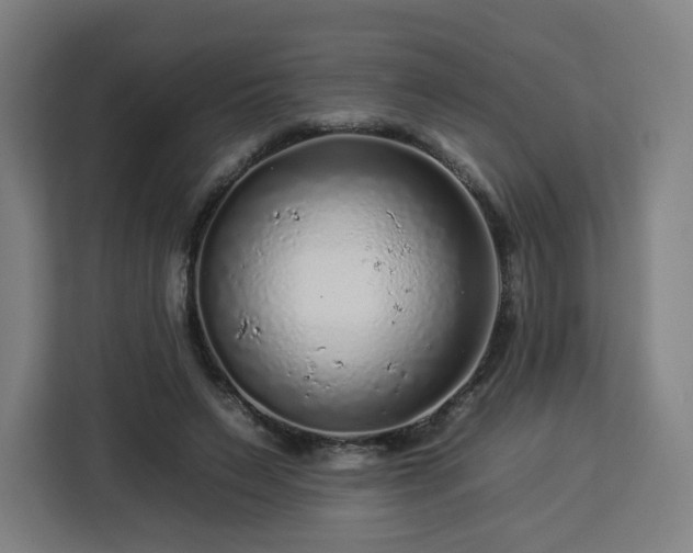 X0000112930495200908311320