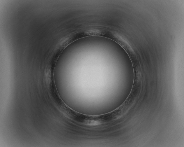 X0000112930498200908311320