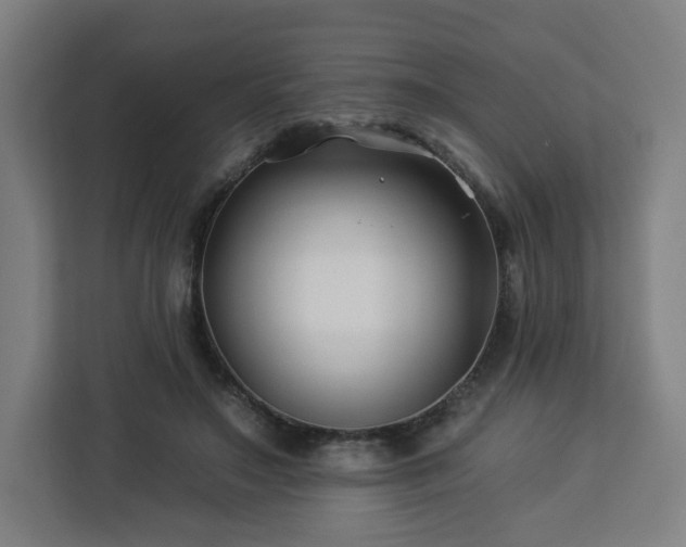 X0000112930499200908311320