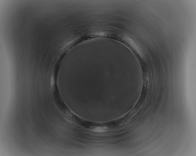 X0000112930500200908311320