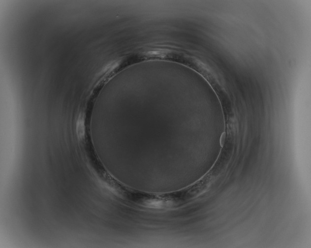 X0000112930504200908311320