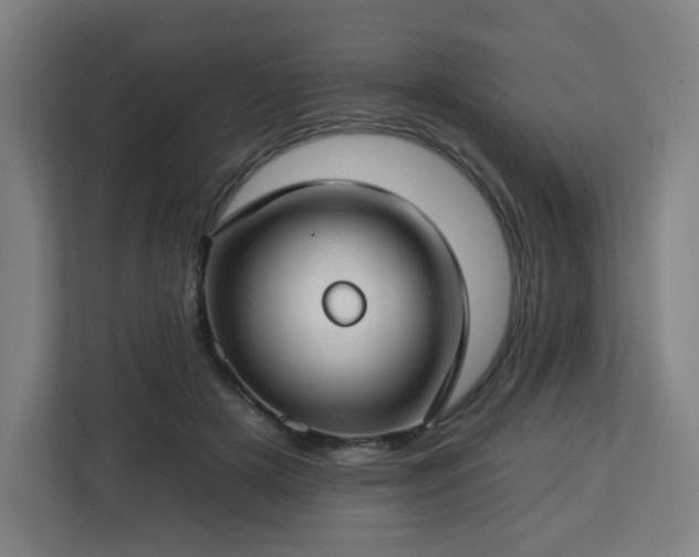 X0000112930505200908311320