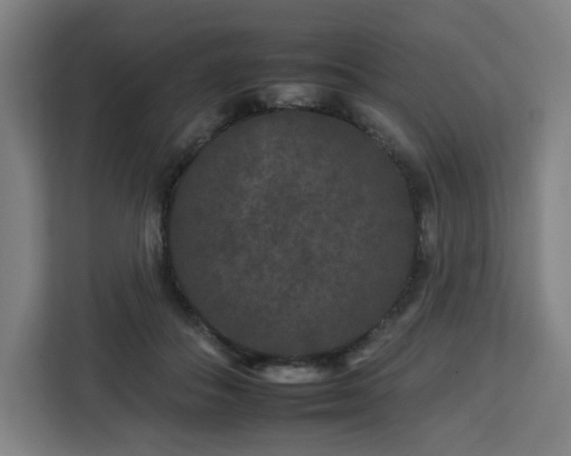 X0000112930506200908311320