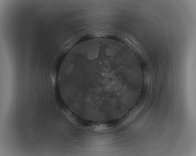 X0000112930507200908311320