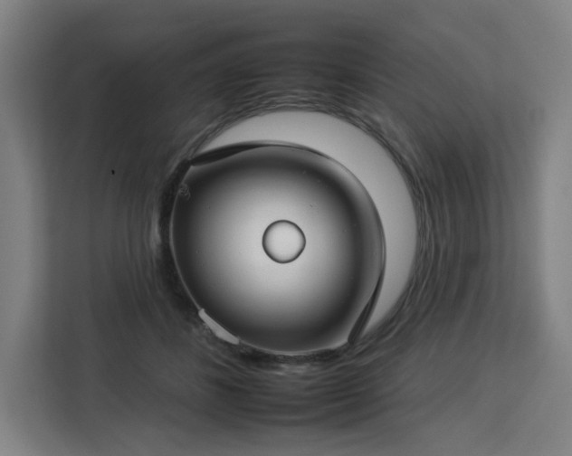 X0000112930508200908311320