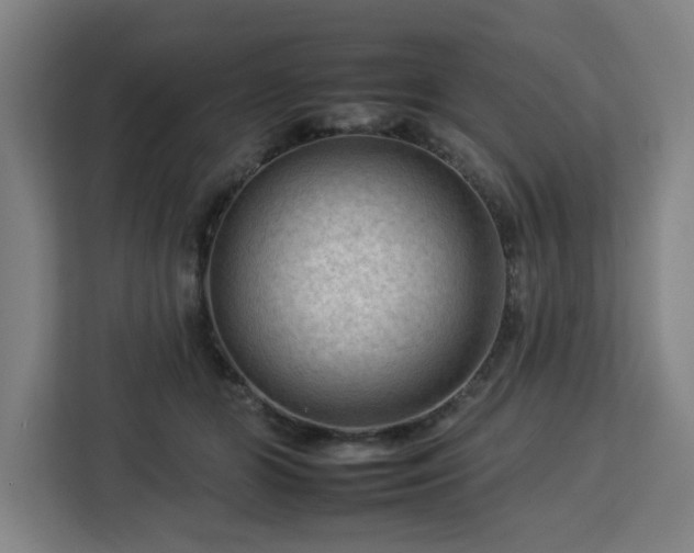 X0000112930510200908311320