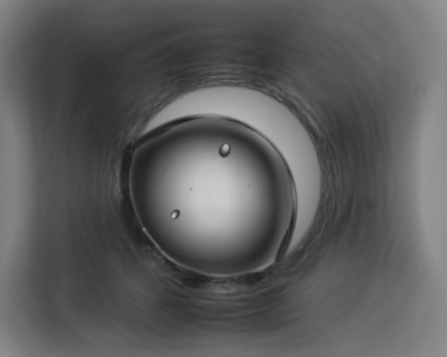 X0000112930512200908311320