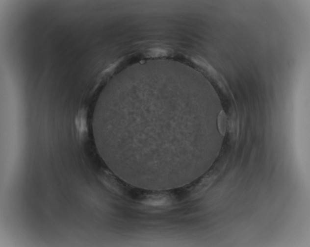 X0000112930516200908311320