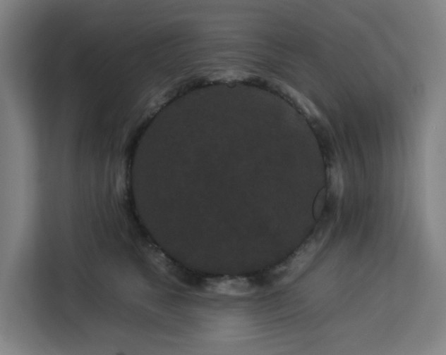 X0000112930517200908311320