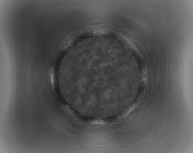 X0000112930519200908311320