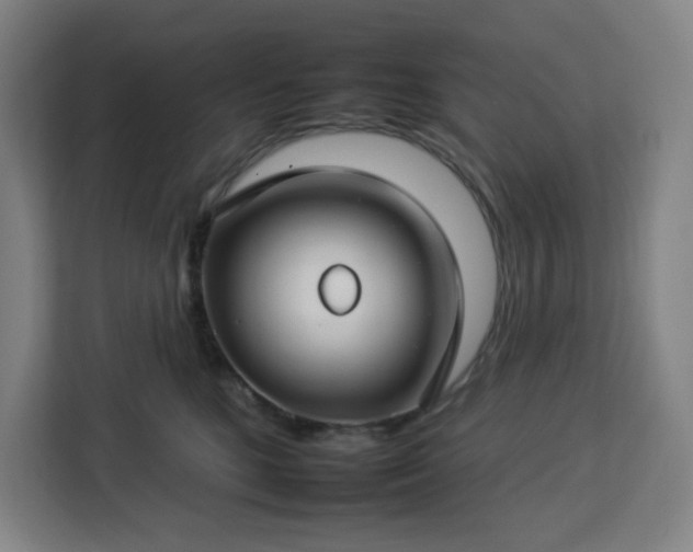 X0000112930520200908311320