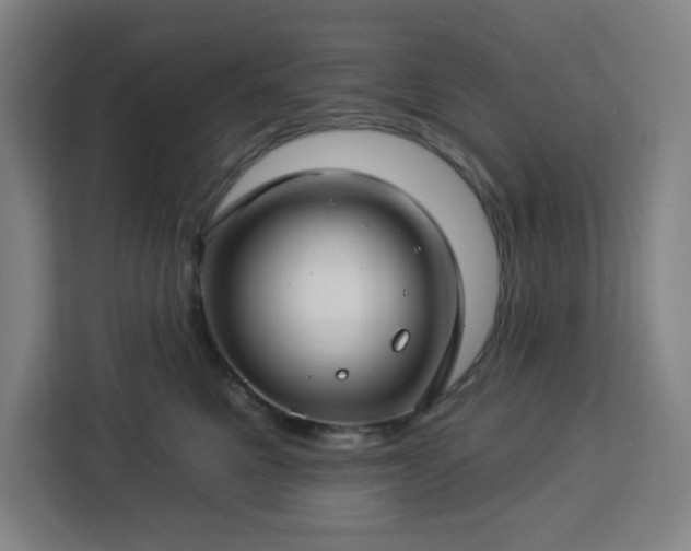 X0000112930521200908311320