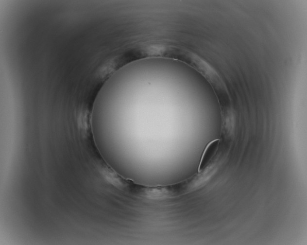 X0000112930525200908311320