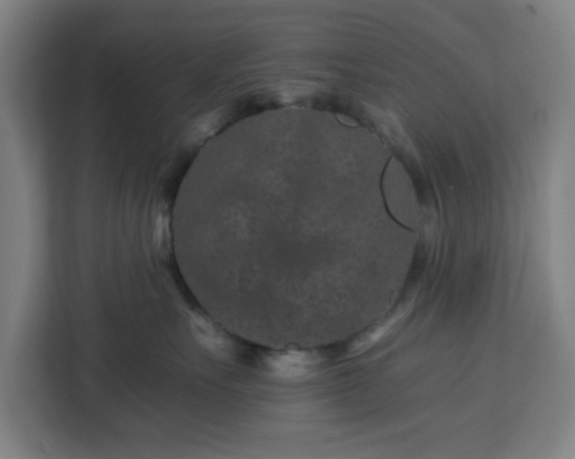 X0000112930527200908311320