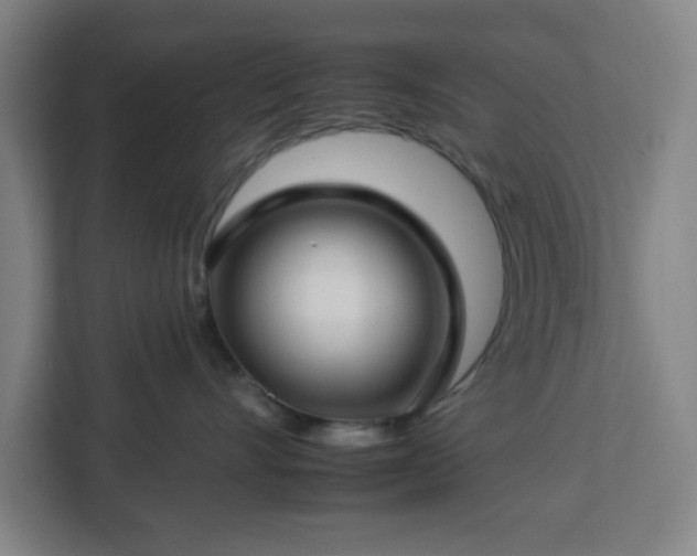 X0000112930528200908311320