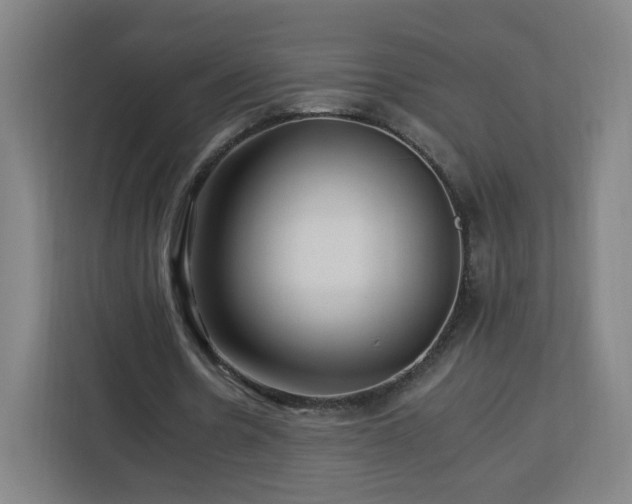 X0000112930530200908311319