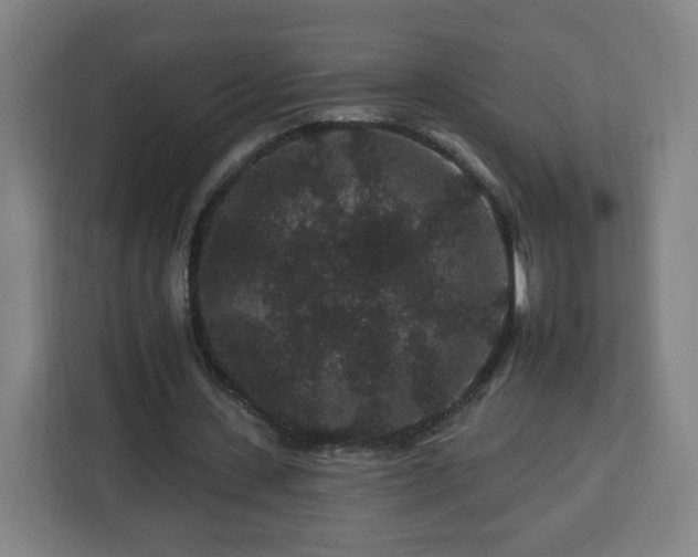 X0000112930531200908311319