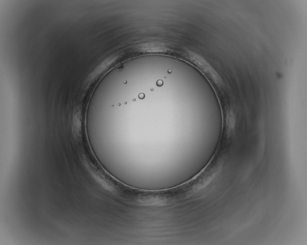 X0000112930533200908311319