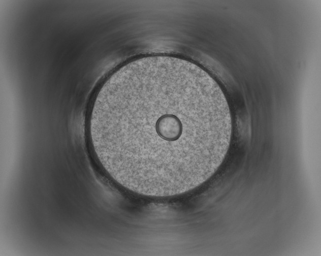 X0000112930534200908311319