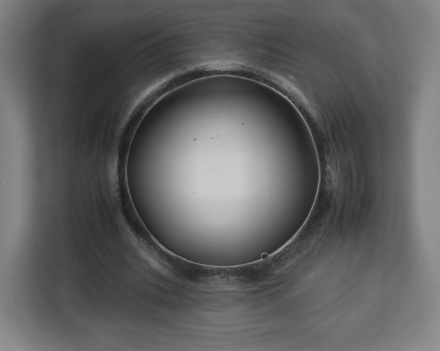 X0000112930535200908311319