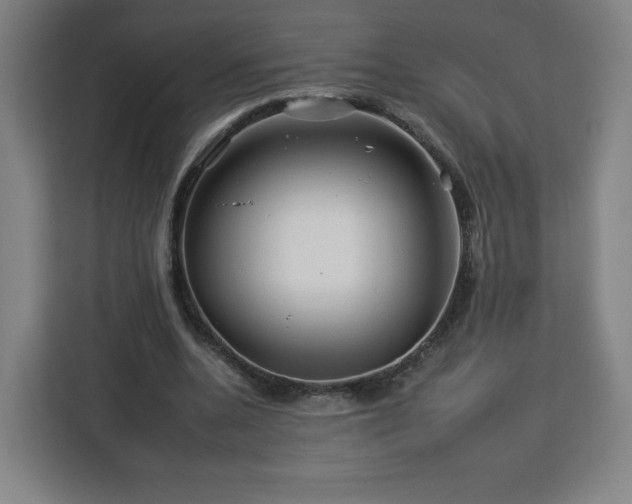 X0000112930536200908311319